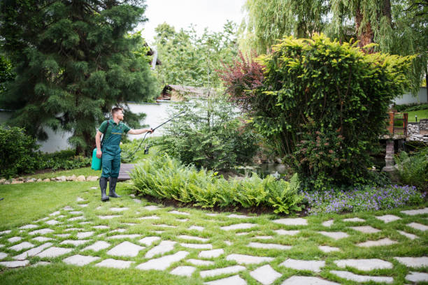 Best Ant Control Services  in Naples, FL