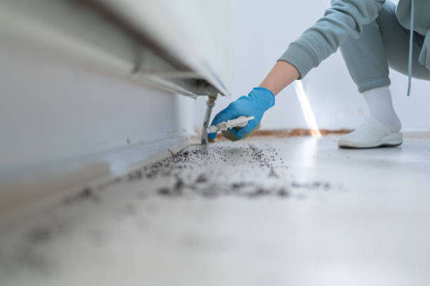 Wildlife Control Services in Naples, FL